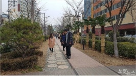 마산합포구, 임항선 그린웨이 정비작업 완료