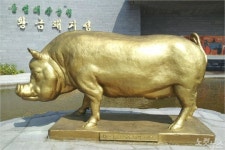 ‘황금돼지섬’ 돝섬, 한국관광공사 ‘1월의 여행지’ 선정 