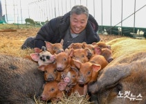 풍요로운 2019년 되세요
