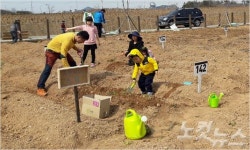 친환경 주말농장에서 건강한 식탁 준비하세요 