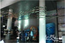 해양수산과학관·섬진강어류생태관서 수산생태 체험을