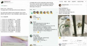 집단학살 딛고 유기동물 노킬…이유 있는 기적