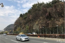 진주시 뒤벼리 정비…일부 도로 통제 