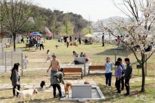 용인지역에 반려견 위한 공설 동물장묘시설 들어 선다