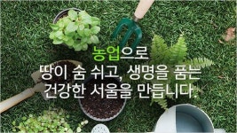 서울시, 서초구 내곡동에 치유농장 조성