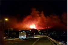 강릉 옥계~동해 망상까지 집어삼킨 화마…산림 290ha 잿더미