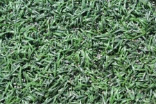 분진 때문에 숨 막혀 청주 흥덕축구공원 엉터리 인조잔디 논란