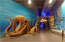 땅끝해양자연사박물관 5월 3일 개관