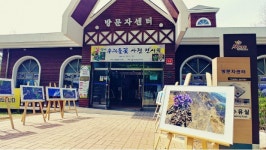 경남수목원 우리 꽃 야생화 보러 오세요