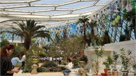 서울식물원 편의시설 태부족…관람객들 뙤약볕에 헉헉