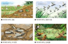 최재천 40년 관찰, 개미 사회, 한국 배울 점 많더라