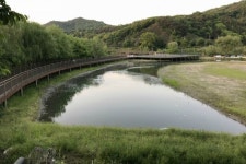 전주 아중호수에 습지정원 조성