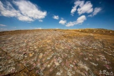 진주 정촌뿌리산단서 백악기 화석 추가 발견