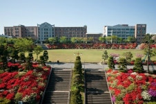 동강대학교, 전문대학 기관평가인증 획득