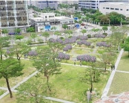 광주시청에 무궁화동산 조성된다