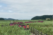 여수YMCA 청소년 우리지역 도보순례 성료