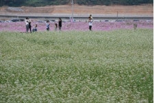 성큼 다가온 가을···9월 축제가 풍성한 경남