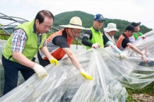 경남농협, 태풍 피해 농가 지원에 구슬땀