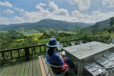 자연 정원을 가꾸는 전 여성 CEO…잡초가 산을 비옥하게 해요