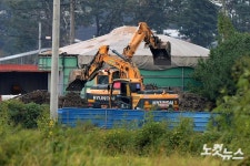 살처분 준비 중인 파주 한 양동농장