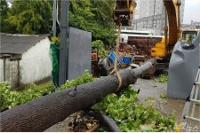 태풍 타파 부울경 고속도로 운행제한 검토…피해 270여건