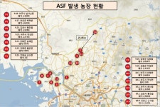 연천, 돼지열병에 이미 오염됐다면서도…김포와 다른 대응