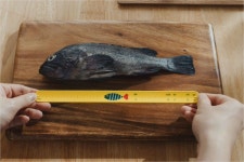 치어럽 밴드하고 낚시 가실래요