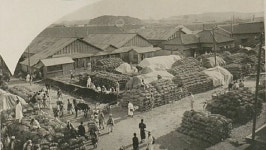 [단독]새 역사교과서, 식민지근대화 빼고 촛불혁명 담는다