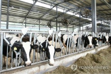 구제역 막아라…젖소농장 구제역백신 항체검사 강화