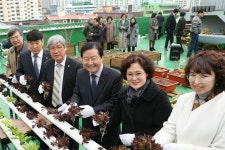 대전 서구에 옥상텃밭 체험관…도시재생 경제공동체 한걸음