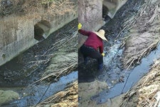 [영상] 아스팔트가 흘러 내려오는 줄… 분뇨 유출사고 분통