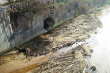 [영상] 아스팔트가 흘러 내려오는 줄… 분뇨 유출사고 분통