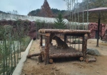 광주 우치동물원, 생태동물원으로 거듭나…환경 대폭 개선