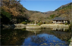 전남도, 1월 관광지로 진도 운림산방·해남 설아다원 추천