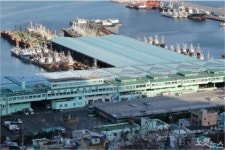 부산공동어시장 2일 초매식...근해어업위기 극복하자다짐