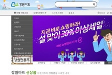강원마트-강원도 시군 쇼핑몰, 통합마케팅 기반 구축