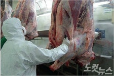 경남도, 설 앞두고 축산물 수급 관리…공휴일 연장 도축