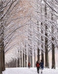 전남 담양군, 죽녹원 등 주요 관광지 설 당일 무료 개방