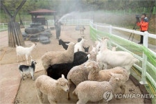 [탐정 손수호] 인수공통 감염병, 왜 자꾸 발생할까?