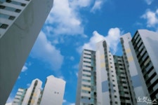 서울 사진 4