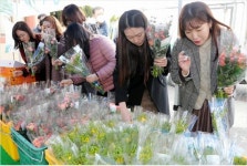 충북도, 코로나 19 어려움 겪는 화훼농가 돕기 나서