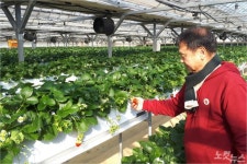 남 일 같지 않은 호주 산불…동해안 주민 경각심 느낀다