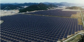 염해간척지 태양광 발전 사업 무용지물 전락