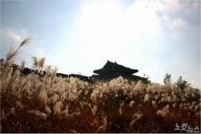 못난 사람이 사연은 풍성하다. 길도 그렇다