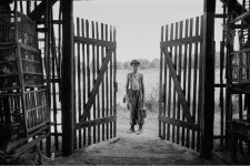 전쟁의 참화로 얼룩진 소년은 다시 날 수 있을까