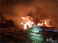 충남 홍성 돼지농장서 불…돼지 400여 마리 타죽어