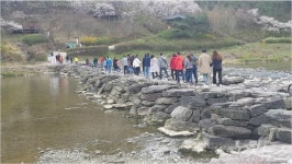 충북 진천군, 코로나19 예방 농다리 및 초평호 초롱길 폐쇄