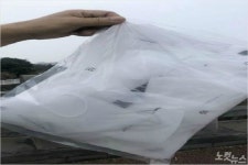 제주서 가짜 마스크 1만 개 유통한 업자 2명 재판행