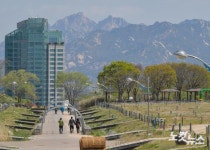 하늘공원 찾은 시민들