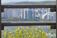 봄 찾아온 하늘공원